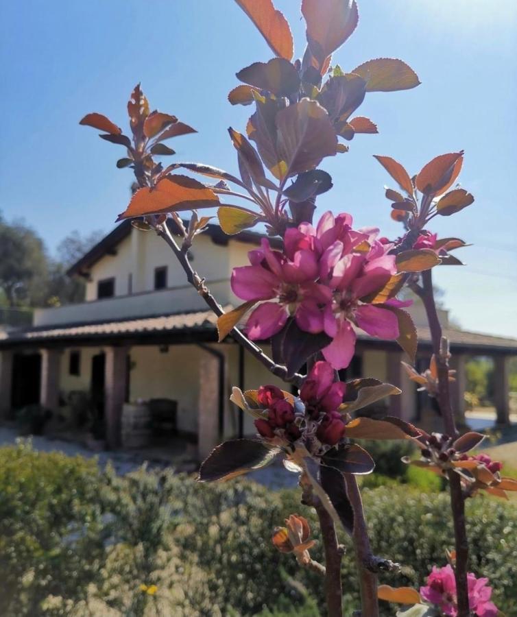 Bed and Breakfast Casale Terre Rosse Сатурнія Екстер'єр фото