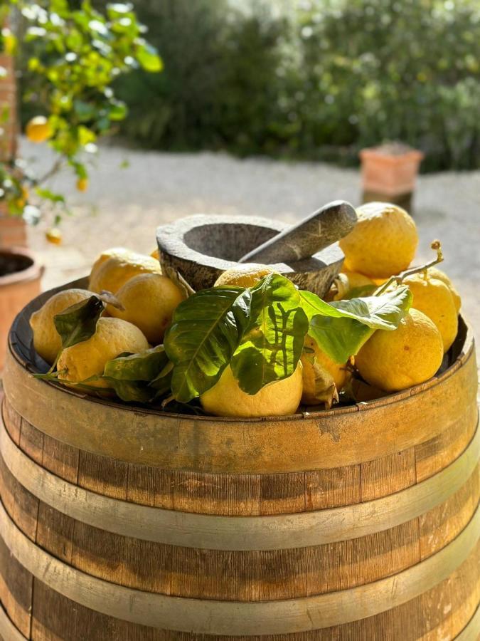 Bed and Breakfast Casale Terre Rosse Сатурнія Екстер'єр фото