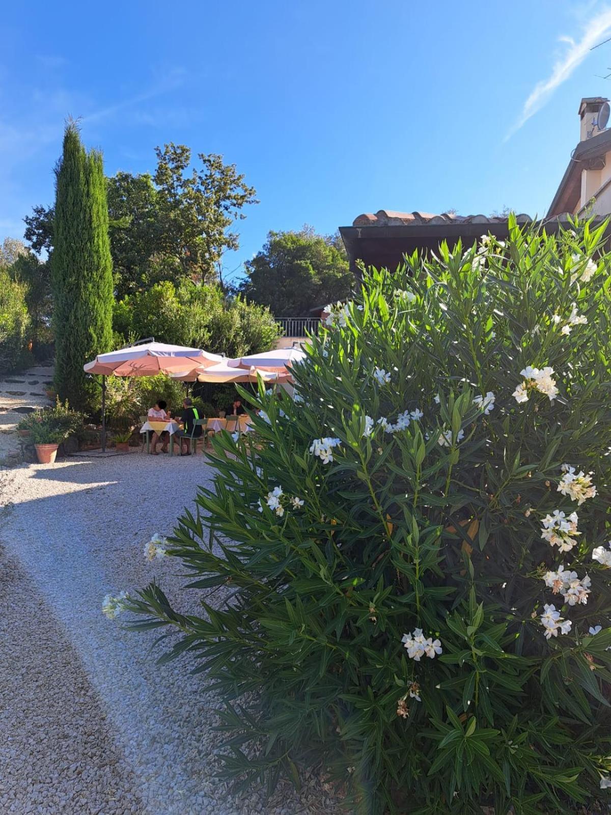 Bed and Breakfast Casale Terre Rosse Сатурнія Екстер'єр фото