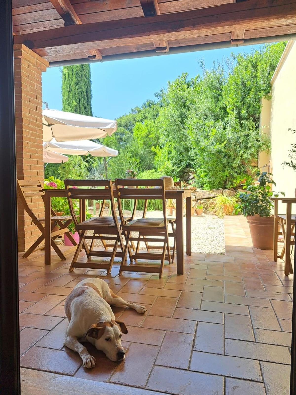 Bed and Breakfast Casale Terre Rosse Сатурнія Екстер'єр фото