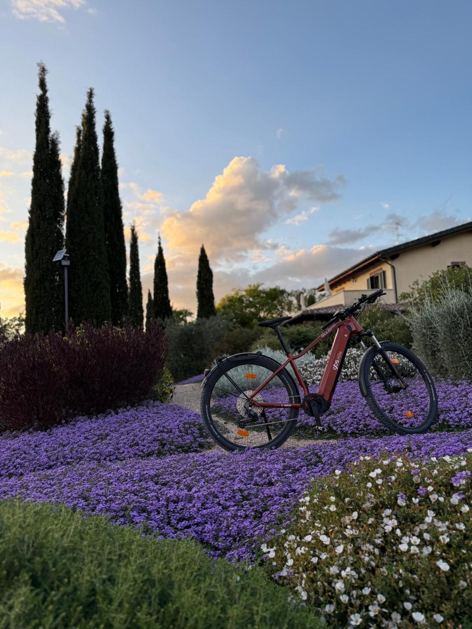 Bed and Breakfast Casale Terre Rosse Сатурнія Екстер'єр фото